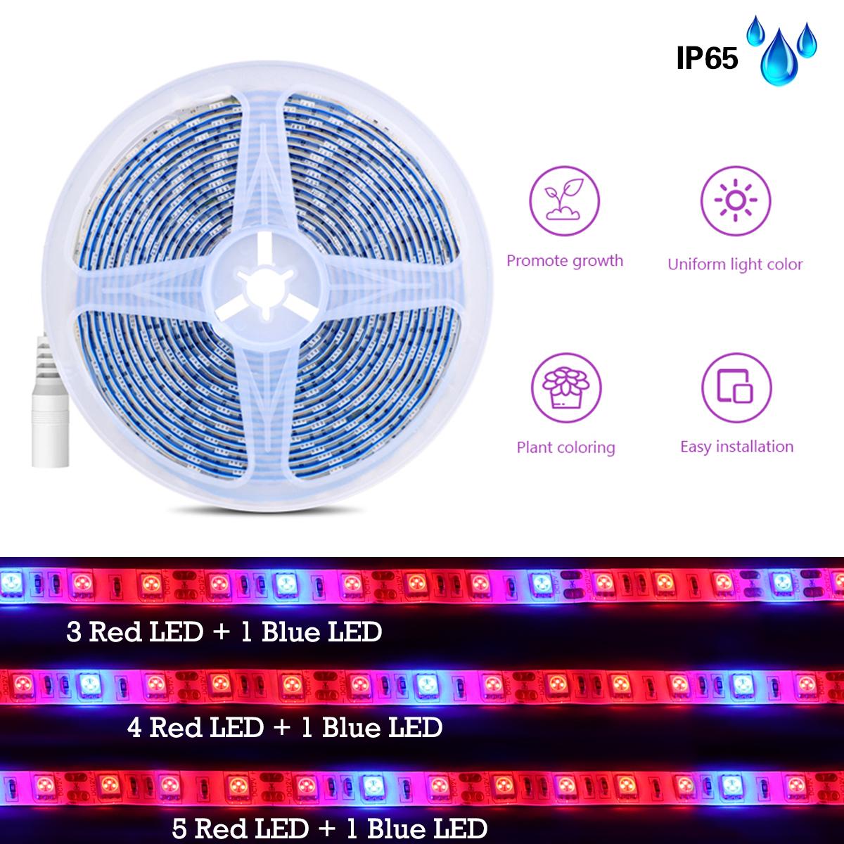 

5050 светодиодный красный, синий SMD светильник для выращивания растений, 12 В, полный спектр света, 5 м, светодиодный фитолампа, уличные комнатные растения, лампы для выращивания цветов 5M 5R+1B