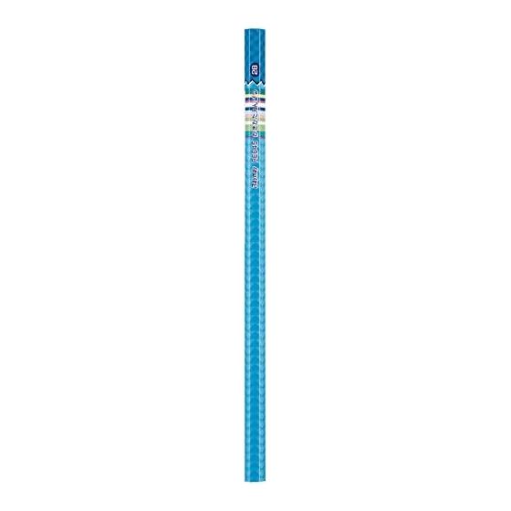 Raymay Fujii Writing Pencils, Teacher, 2B, Blue, RE645, 11 Pencils/1 Red Pencil, Hexagonal Barrel