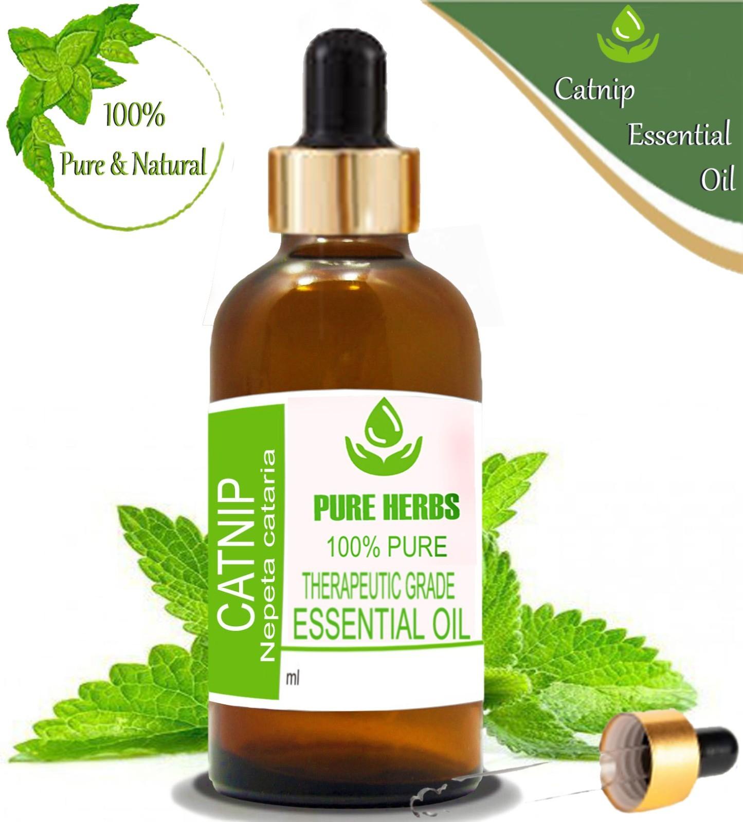 

Чисті трави котяча м ята 100% чиста та натуральна ефірна олія Nepeta Cataria ZA 271 100ml
