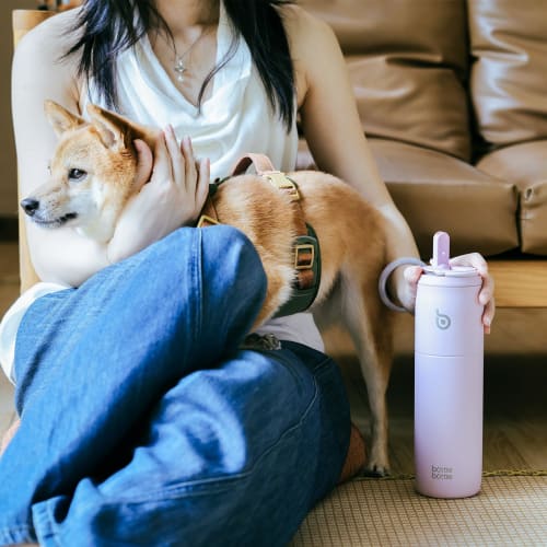 BOTTLE BOTTLE 1 Liter Vacuum Insulated Stainless Steel Water Bottle with Straw, Handle, Leak-Proof, Wide Mouth, 1000ml, Sports Bottle for Boys, Girls,