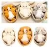 Cute Plush Cat Toy Wholesale Feline Dolls Ideal Birthday Gift
