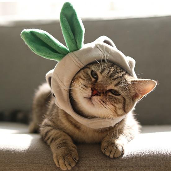 Cute Garlic Pet Hat Garlic Shape Cat Hat with Ear Holes Soft Plush Adjustable Pet Hat for Small Dogs And Cats Party Costume Photo Prop