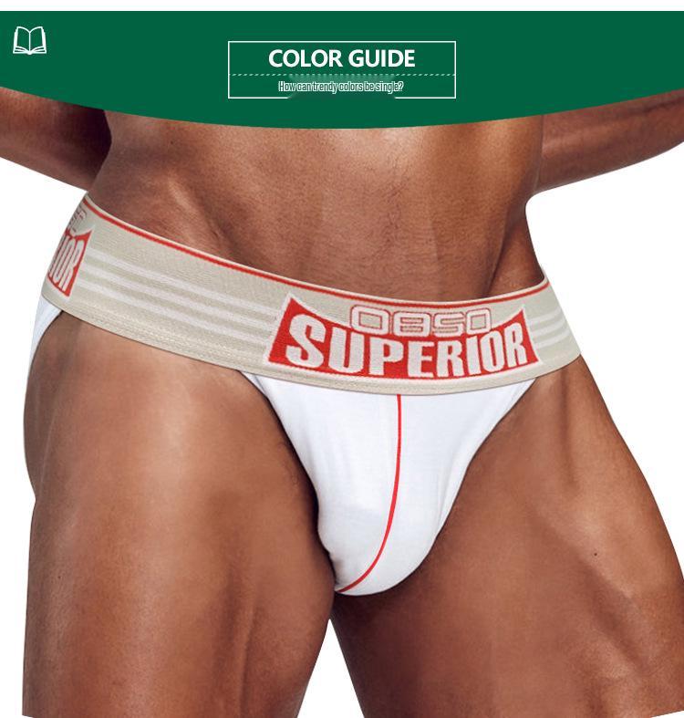 Men's Low Waist Fitness Anti-Chafing Briefs BS844