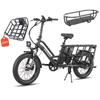 Fafrees FF20 CUV - Electric Cargo Bike - 250 W - 48 V - 24 Ah - Maximum Speed 25 Km/h - Black - With Rear Luggage Rack