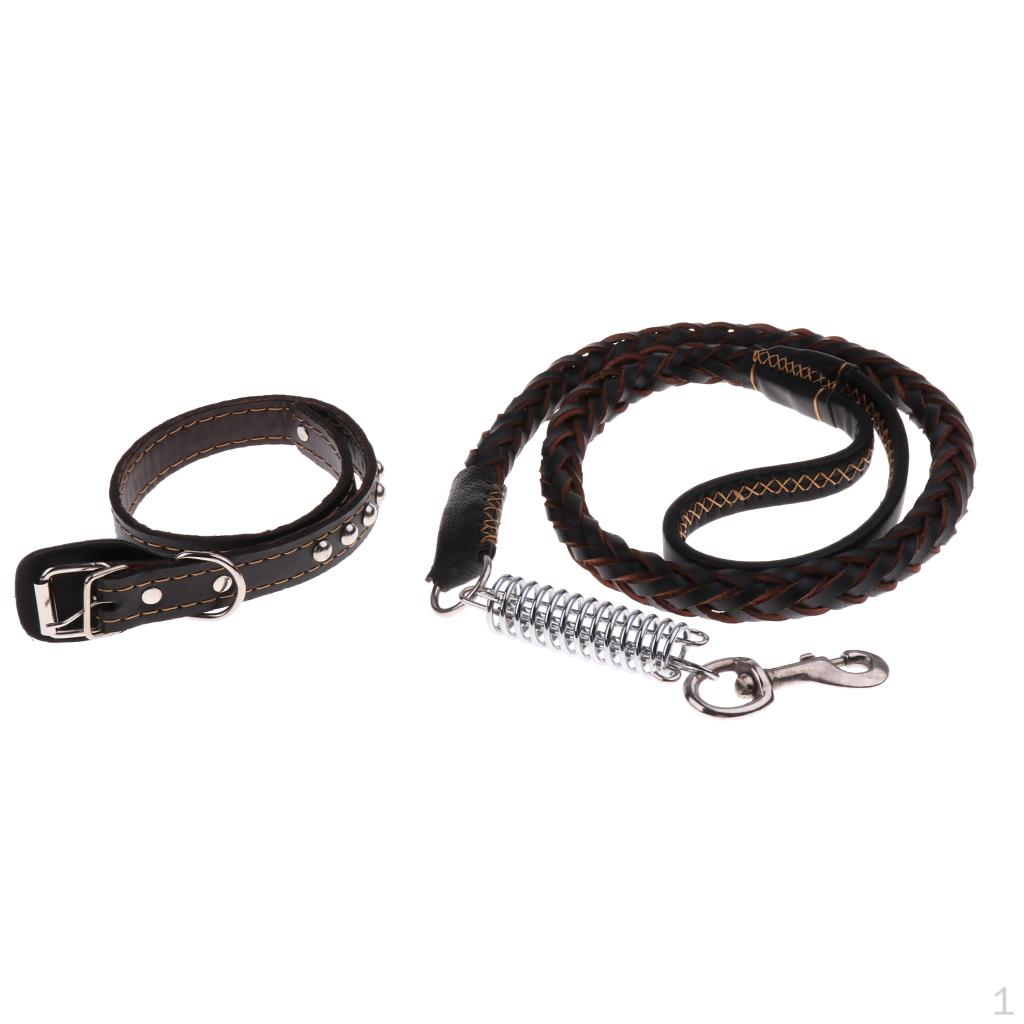 Pet Walking Training Dogs Leashes Medium Puppy Black,Brown
