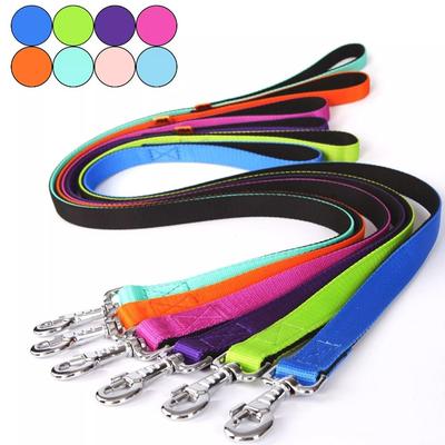 Laisse pour chien rembourrée simple, solide, durable, pour chiot, une taille, énergétique, colorée, nylon, longue, pour dressage d'animaux de compagnie