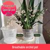 Phalaenopsis & Dendrobium Breathable Desktop Flower Pot