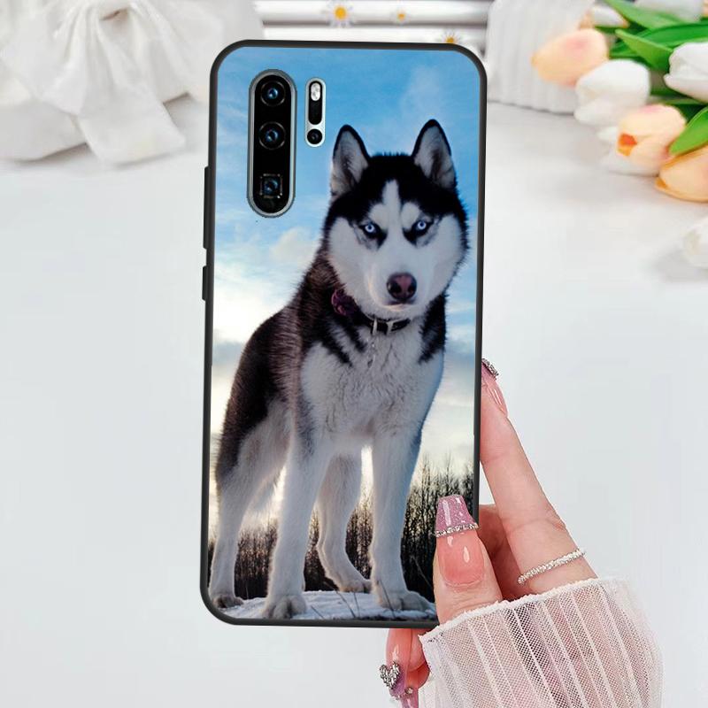 Animal Husky puppy Case For Huawei Nova 11i 8i 7i 3i Y70 Y90 Y60 Y61 5T 9 10 SE P Smart Z P30 P40 Lite P60 Pro