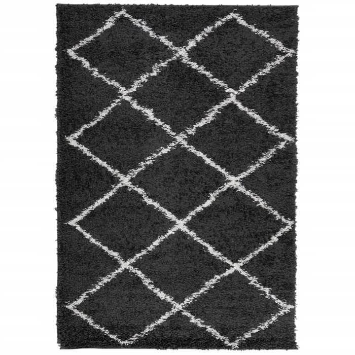 VidaXL Tapis Shaggy à Poils Longs, Moquette de Sol, Tapis de Zone, Carpette de Salon Salle de Séjour Chambre, Moderne, Noir 375411
