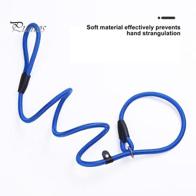 Pevné skluzové vodítko pro psa Nastavitelná smyčka Nylonové pletené lano s vysokou hustotou Tréninkové vodítko se zářivými barvami pro velké Střední Malé