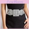 Metal Wide Fashion Belt For Women With Shiny Sequin Design For Casual And Dressy Outfits