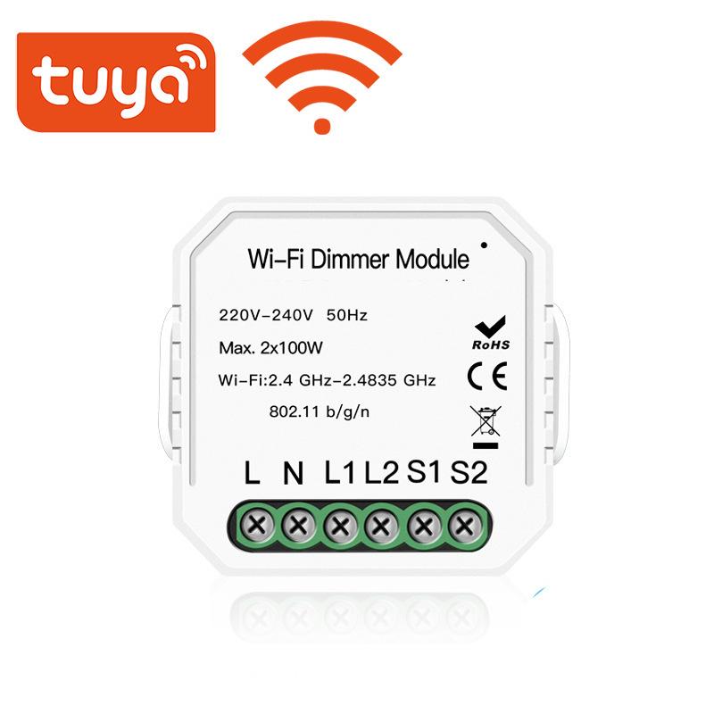 Graffiti Smart WiFi Dimmer Switch with Timer & Independent Control, Compatible with Alexa & Google Home