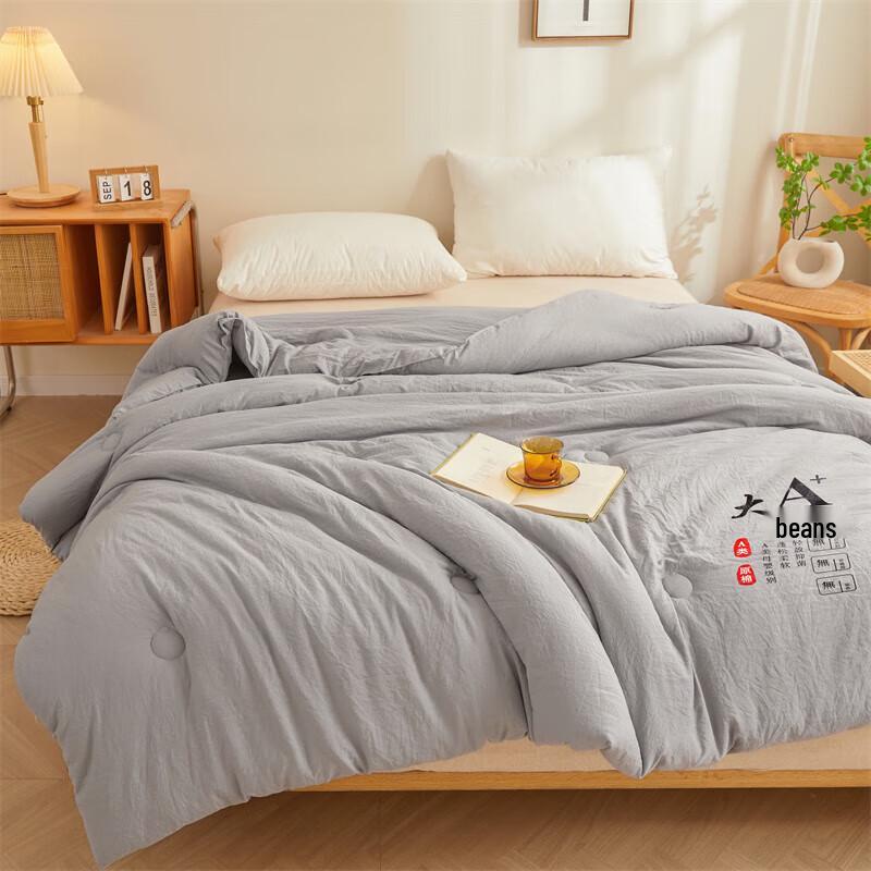 Qixiai Super Soft Soy Fiber All-Season Duvet