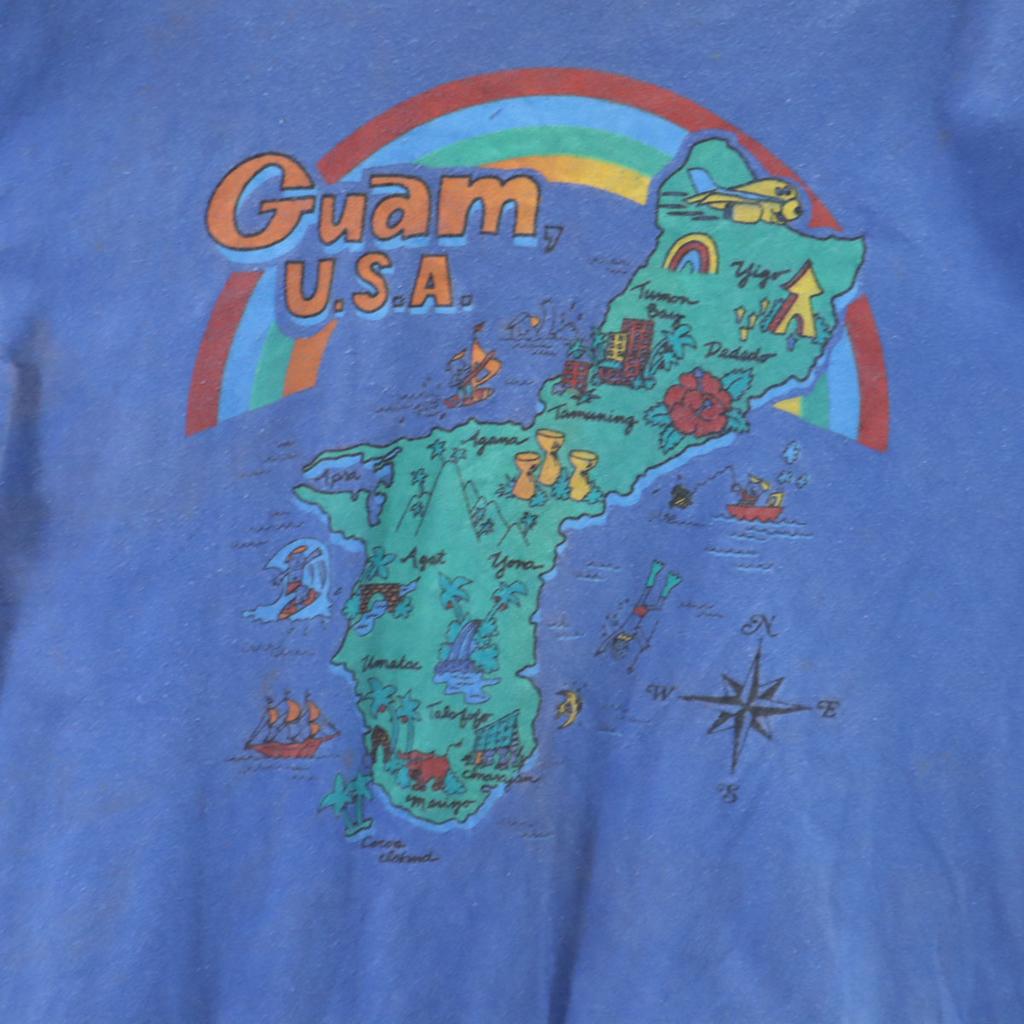 Hanes 80s 90s Made in USA Old Short sleeve T-shirt L Blue BEEFY-T Men's Used