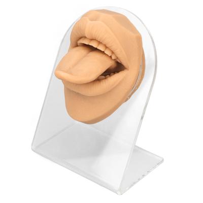 Modello di Lingua Umana Silicone Morbido Realistico Supporto Acrilico Modello di Bocca per Esposizione di Gioielli Colore Pelle