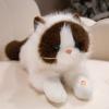 The Simulation Will Be Called Ragdoll Cat Doll Plush Toy Kitten Doll Girl Ragdoll Birthday Gift