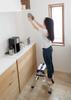 Pika Corporation MCX-60 Ladder/Stepladder
