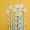 Creative Pink Daisy Party Straws with Decorative Card