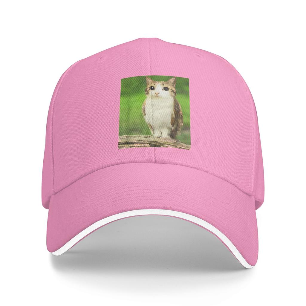 Spring Casual Baseball Cap Meowl Cat Owl Meme Funny Animal Hybrid Running Hippie Trucker Hat For Couple Trendy Baseball Caps