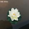 Water Lily Floating Flower Lotus Home Yard Pond Fish Tank