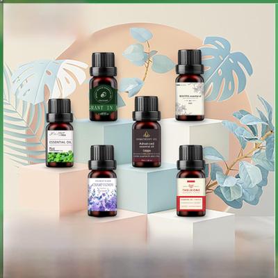 Aromatherapie Stein Diffusor: Hochintensives wasserlösliches ätherisches Öl für langanhaltende Frische in Innenräumen
