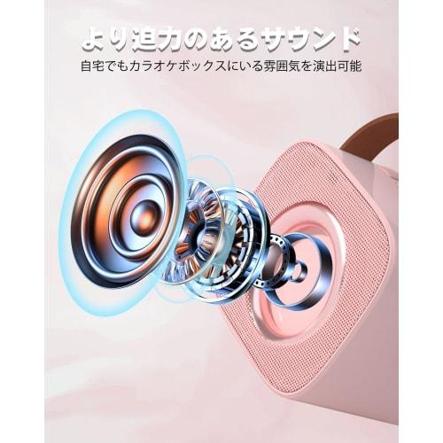 Verkstar Karaoke Microphone with 2 Bluetooth Microphones, Wireless Speaker, PA System, Stereo Compatible, USB-C Rechargeable, Compact, Portable, Mini