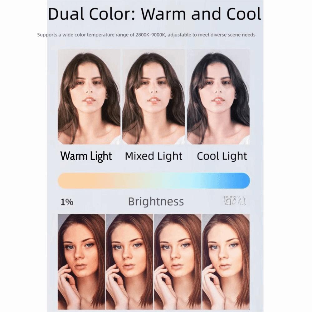 2800-9000K Handheld Fill Light With Fan LED Beauty Light Panel  Outdoor Photography