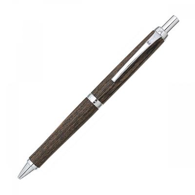 Pilot Permanent Bläckpenna Regno