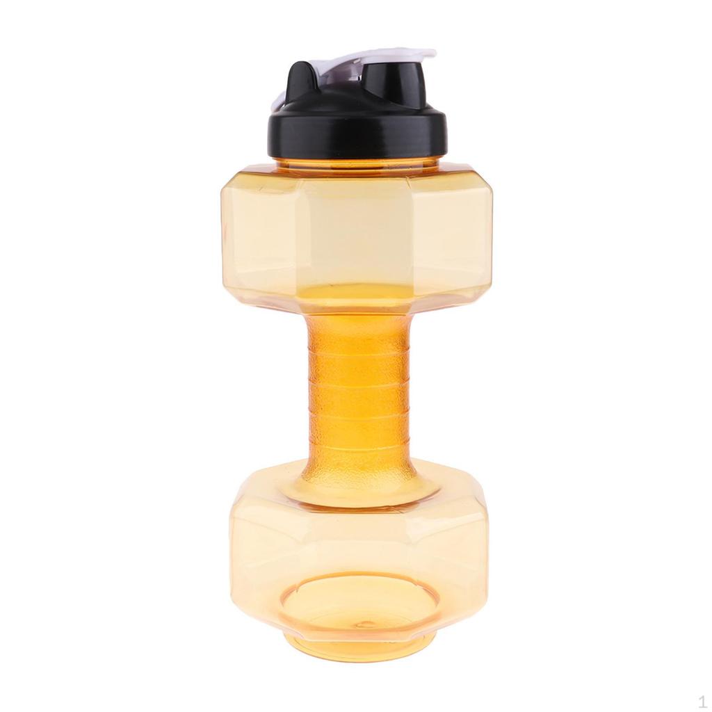 Companion for Fitness Enthusiasts