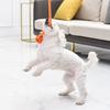 PH Elastic Rope Ball Pet Dog Play Ball Medium