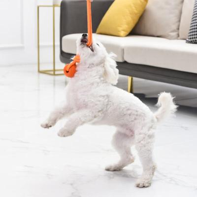 Köpek – Köpek oyuncakları