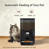 T02C!Automatic Pet Feeder Large Capacity Smart Cat And Dog Feeder Automatic Feeder UK Plug