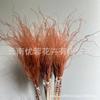 Long Pole Feather Grass Dried Flower Fluff Grass Needle Grass, Fresh And Smart Soft Decoration High-End Flower Diy Dried Flower Bouquet