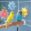 Rattle Parrot Wheel Toy Rotate Sounding Ball Toys Funny Birds Cage Feeder  Parrot