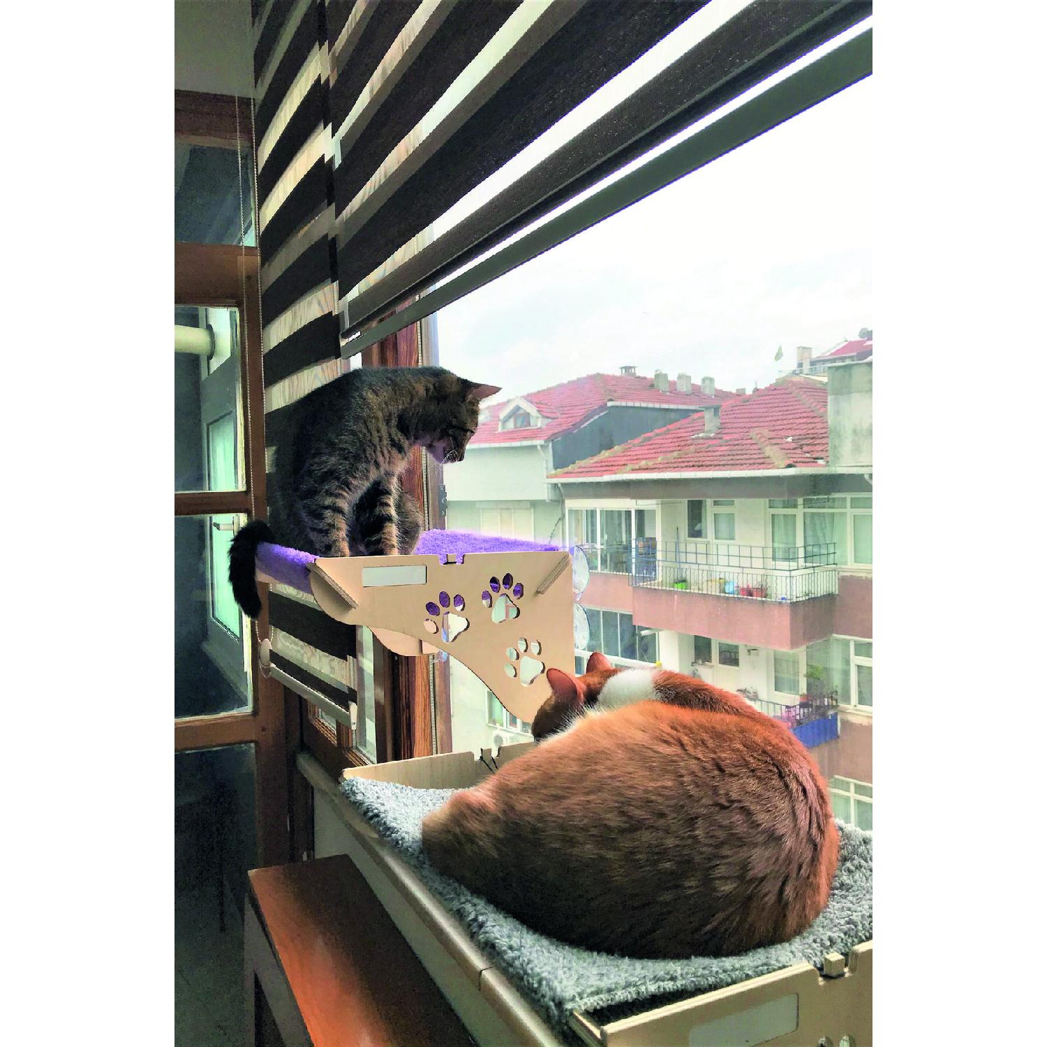 

Подвесная кровать для кошек на окне с присосками