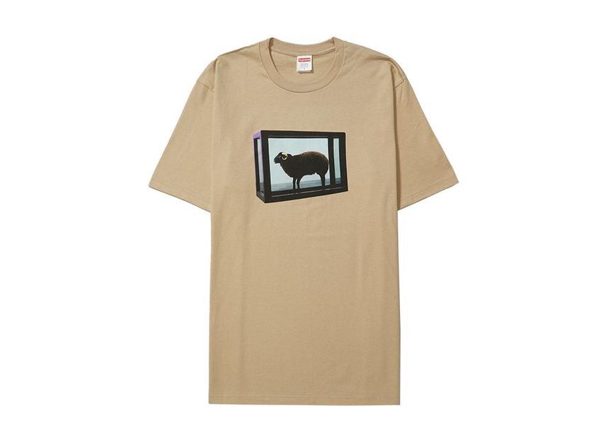 Supreme Damien Hirst Tee Khaki XL