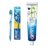 Crest Soft Bristle Toothbrush & 3D White Jasmine Tea Toothpaste Set