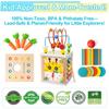 Montessori Wooden Educational Cube for Kids, Fishing Activity Toy with Shape Sorting, Multicolor Early Learning Toy