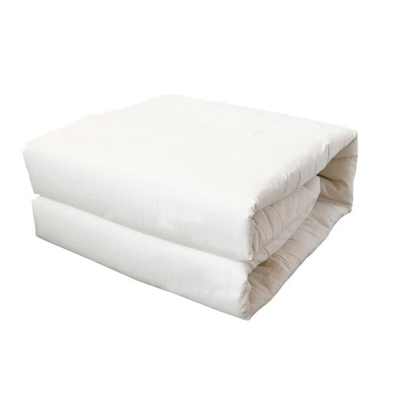 Xinjiang Cotton Winter Duvet