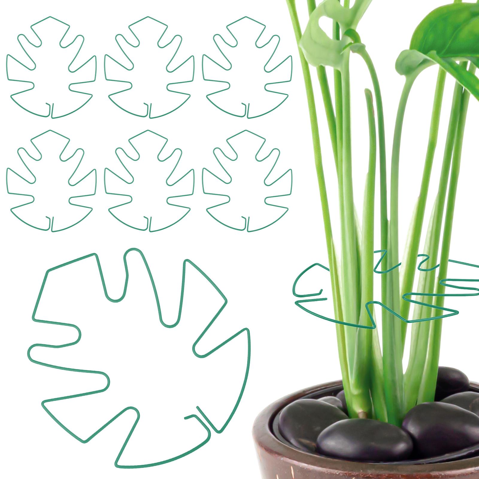 

6Pcs Monstera Plant Support Plant Stem Support Metal Monstera Shaped Supports Stem Support Ring for Thriving Growth