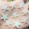 80pcs 18mm DIY Resin Sky Blue Flatback Starfish Star Mobile Phone Decoration Wedding Decoration A088