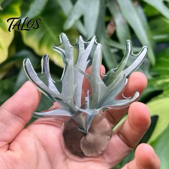 Botanical Fridge Magnets 3D Tropical Plants Refrigerator Magnet, Acrylic Green Decorative Plant Home Decor Memo Notes Photo Holder for Kitchen Office