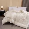 PAUI DAVID All-Season Antibacterial Duvet Insert