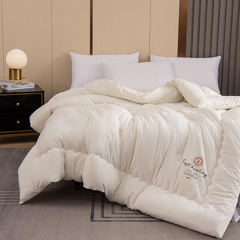 PAUI DAVID All-Season Antibacterial Duvet Insert