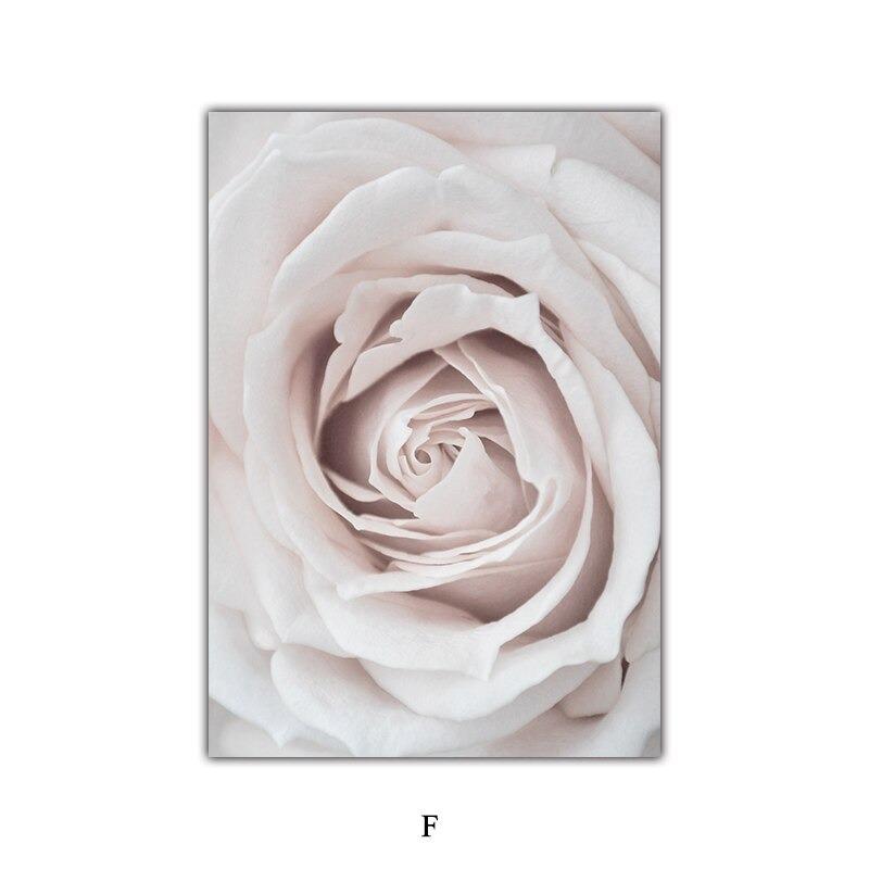 Wüstensamen skandinavische Naturlandschaft Poster Wandbild Wandkunst für Paare Boho Nordisch Wandbilder Dekor Perfekt für