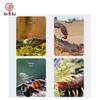 Xinbirui Outdoor Long-Lasting Snake Repellent