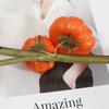 Simulated Pumpkin Fruit PropsSimulated Berries Housewarming Home Decoration Ornaments Artificial Flowers