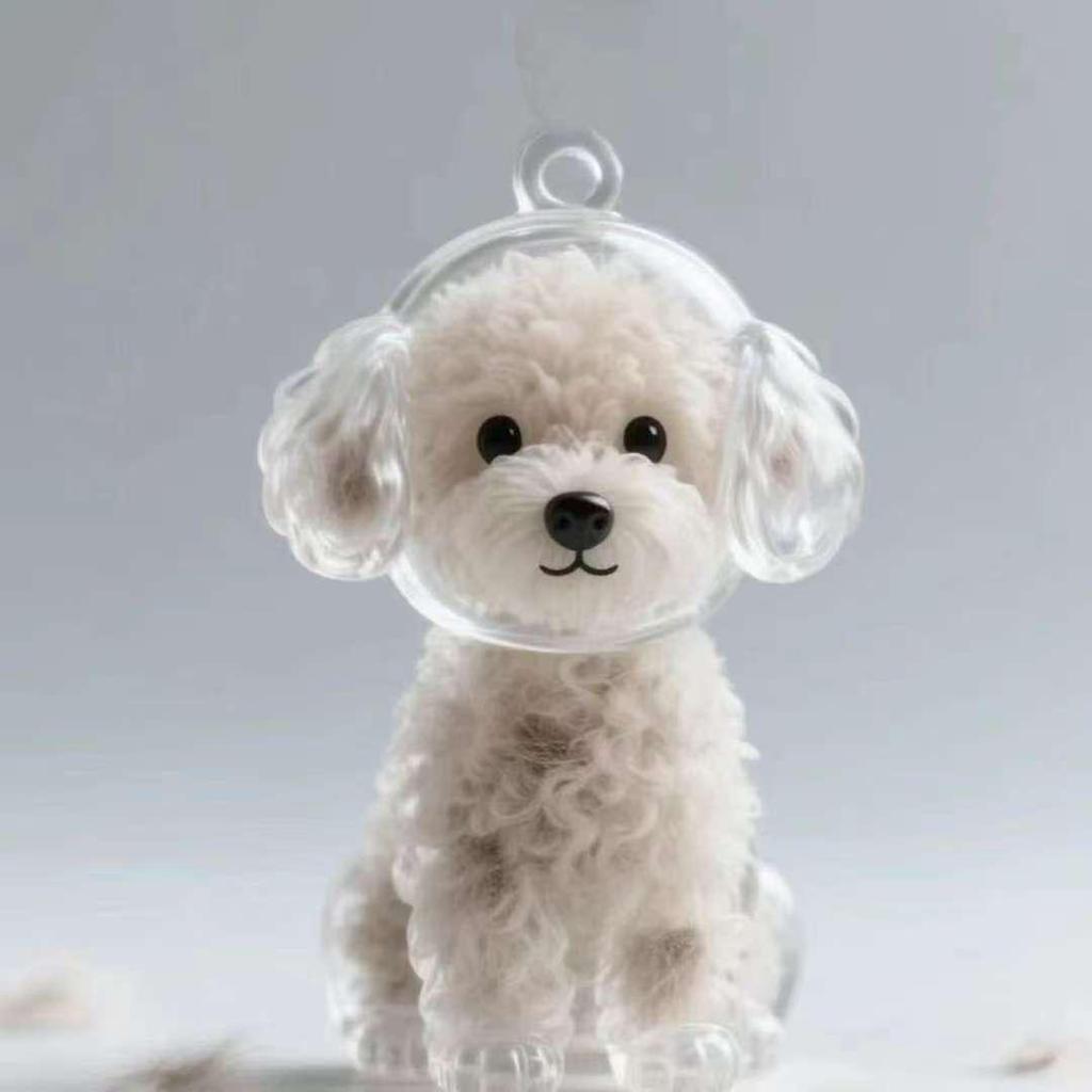 Pet Hair Pendant Keychain: Cute Commemorative Dog Hair Capsule Collection Charm