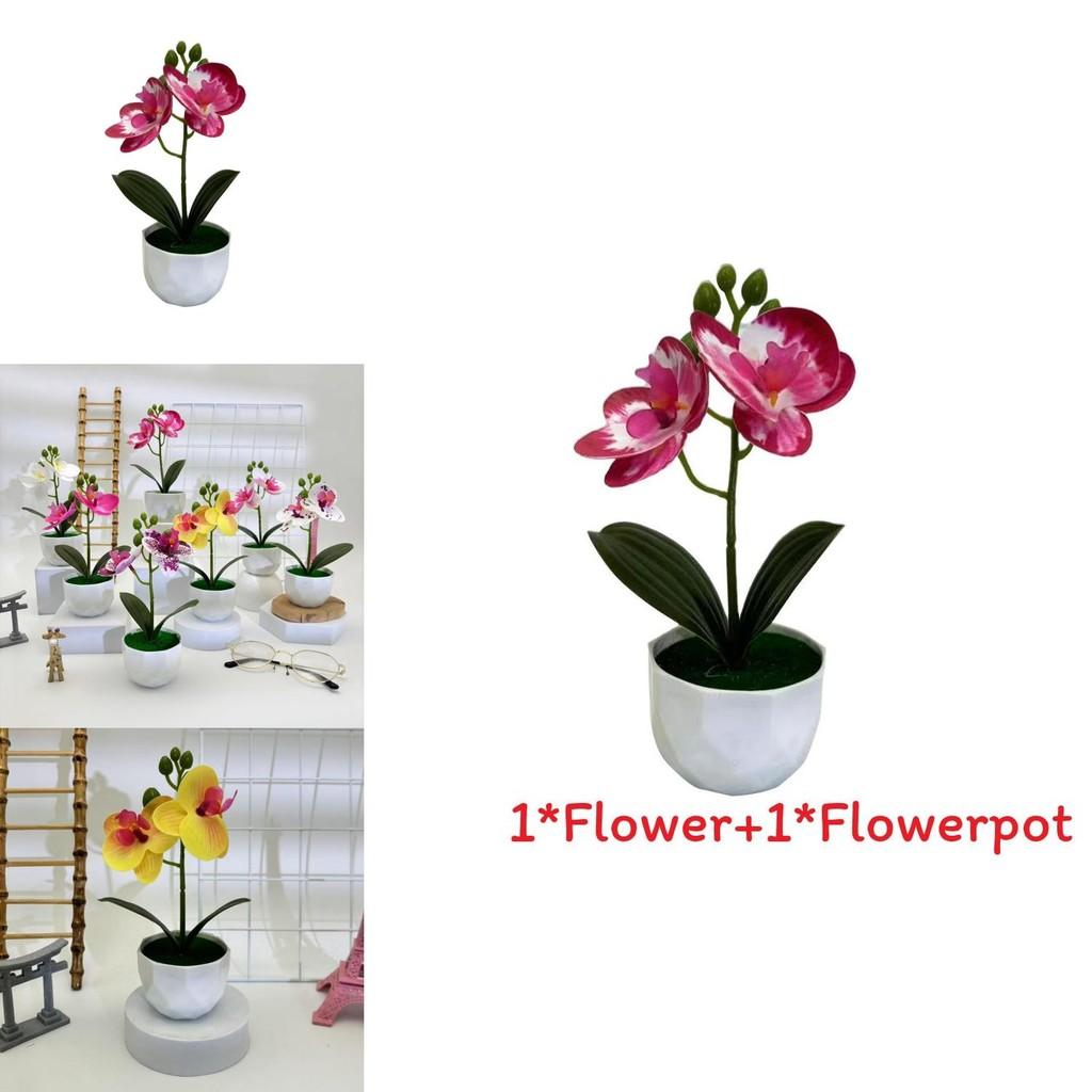 Butterfly Orchid Replica Potted Flower For Event Decor And Home Styling