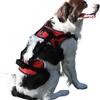 Corgi Mobility Aid: Cross-Border Pet Wheelchair for Disabled or Post-Op Rehabilitation